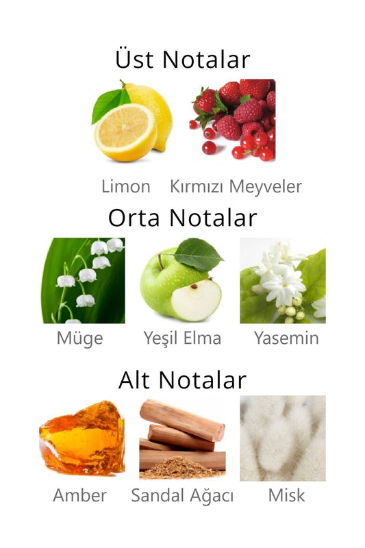 Aqua Di Polo Kadın Vücut Spreyi APCN001504