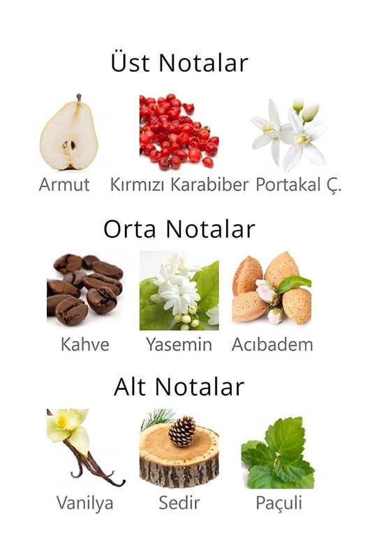 Aqua Di Polo Kadın Vücut Spreyi APCN003701