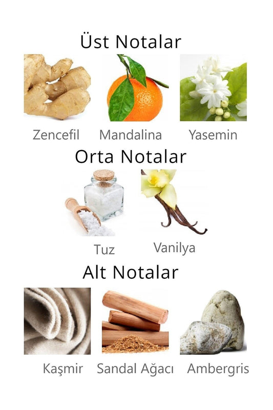 Aqua Di Polo Kadın Vücut Spreyi APCN003705