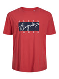 Jack&Jones Erkek T-Shirt 12237439