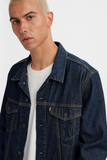 Levis Erkek Ceket 25Y72334-0557