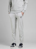 Jack&Jones Erkek Eşofman Altı 12165322