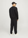 Jack&Jones Erkek Eşofman Altı 12257962