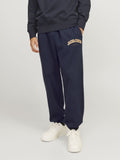 Jack&Jones Erkek Eşofman Altı 12257962