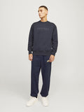 Jack&Jones Erkek Eşofman Altı 12257962