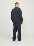 Jack&Jones Erkek Eşofman Altı 12257962
