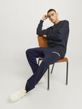 Jack&Jones Erkek Eşofman Altı 12257962