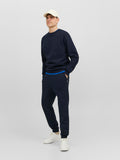 Jack&Jones Erkek Sweatshirt 12249341
