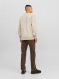 Jack&Jones Erkek Sweatshirt 12249341