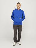 Jack&Jones Erkek Sweatshirt 12256534