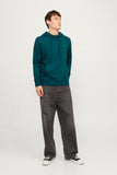 Jack&Jones Erkek Sweatshirt 12256591