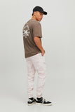 Jack&Jones Erkek Jogger Pantolon 12229712