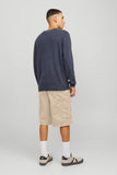 Jack&Jones Erkek Şort 12253222