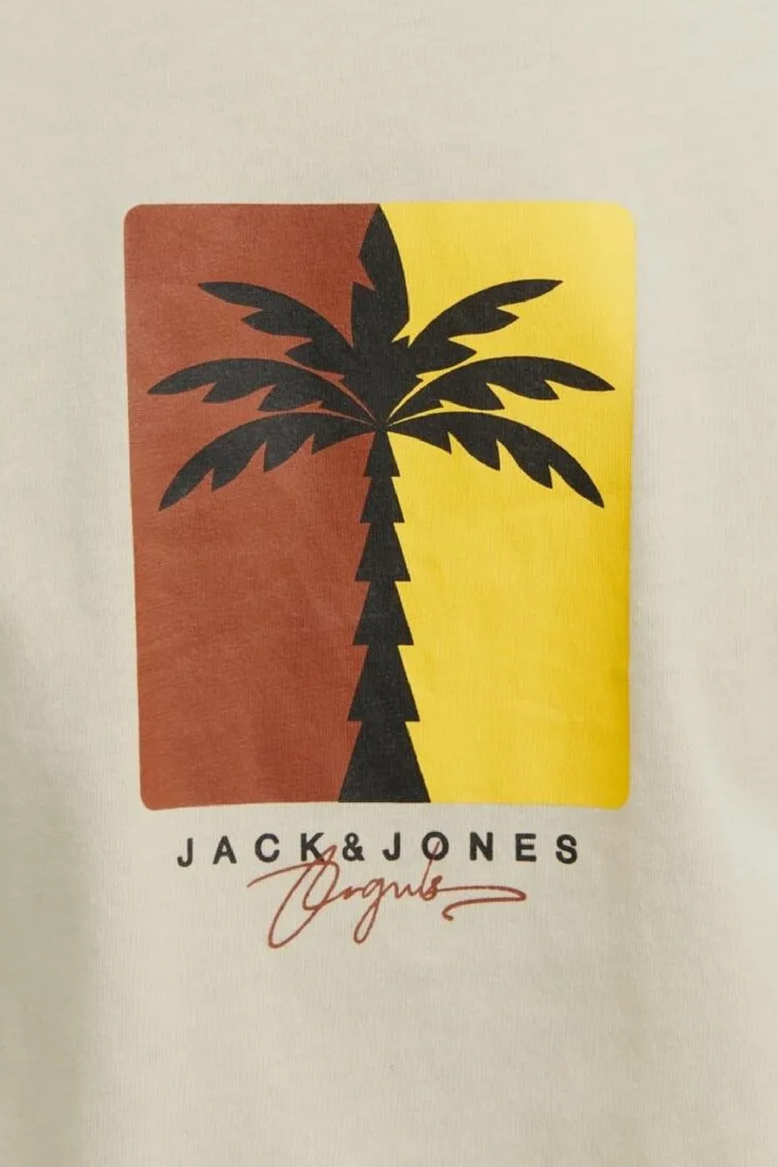 Jack&Jones Erkek T-Shirt 12255569