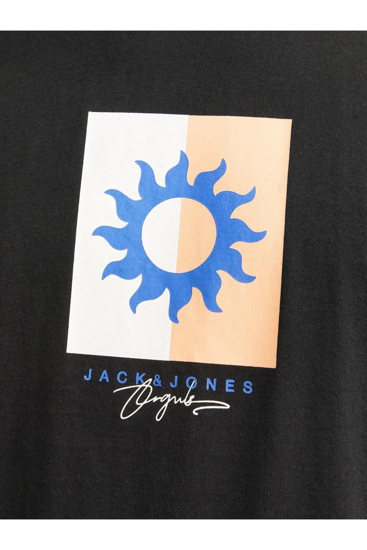 Jack&Jones Erkek T-Shirt 12255569