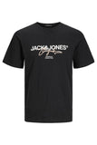Jack&Jones Erkek T-Shirt 12255452