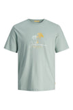 Jack&Jones Erkek T-Shirt 12255238