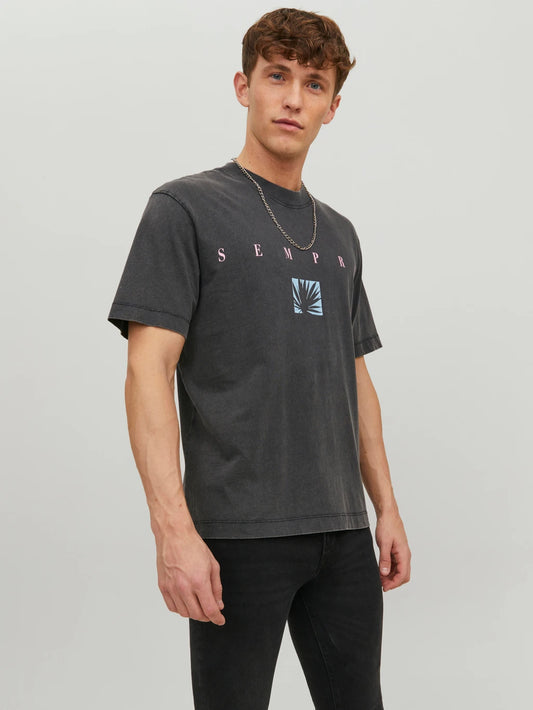 Jack&Jones Erkek T-Shirt 12230007