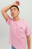 Jack&Jones Erkek T-Shirt 12230672