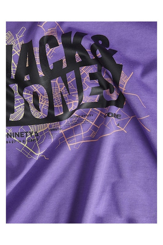 Jack&Jones Erkek T-Shirt 12252376