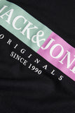 Jack&Jones Erkek T-Shirt 12252681