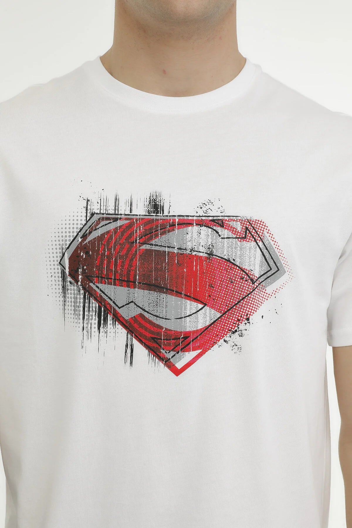 Lumberjack Erkek T-Shirt 2SSUPERMAN3FX