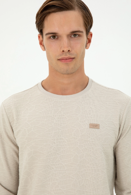 U.S. Polo Assn. Erkek Sweatshirt 1945735